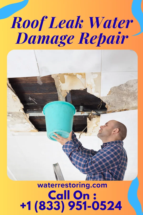 Roof Leak Water Damage Repair in Elyria, NE